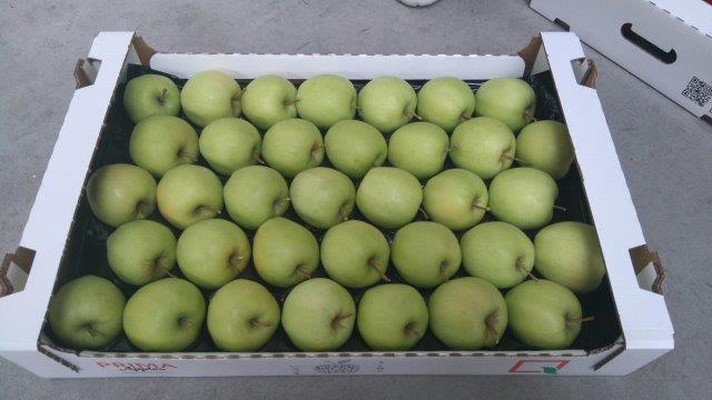 Prima 2000 æbler-pærer-blommer frugter grøntsager 15